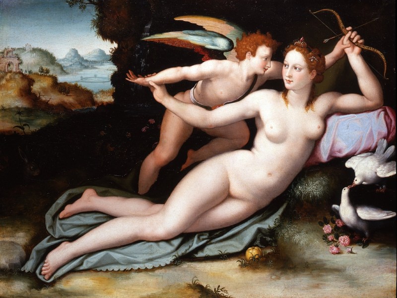 D16 The Classic&nbsp;Tradition